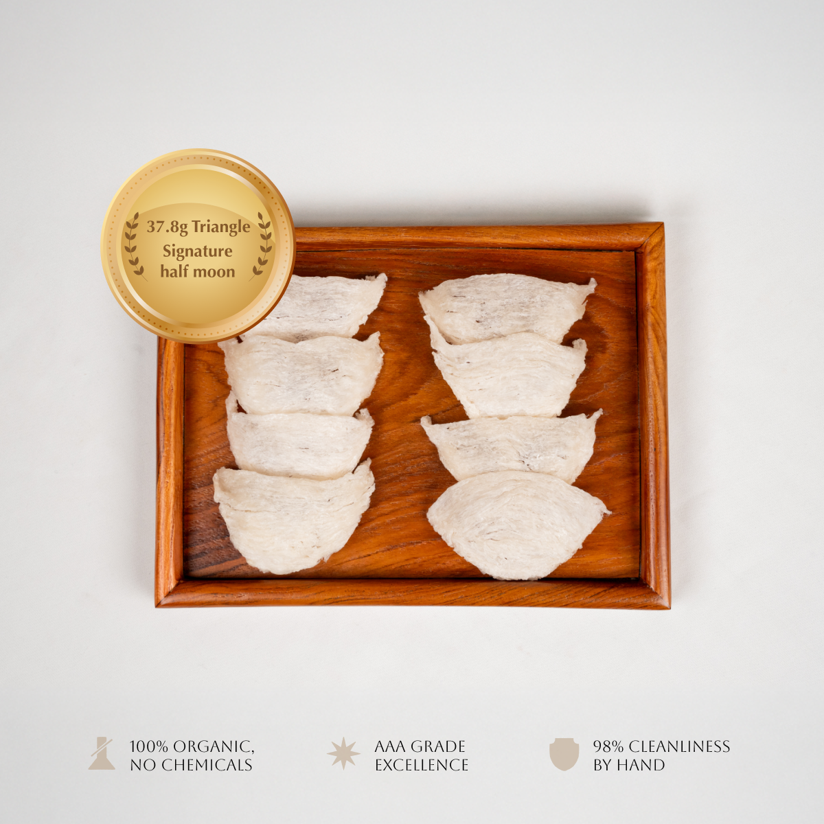 Dry Bird's Nest - Triangle